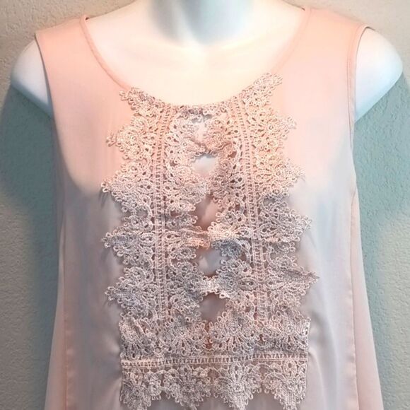 Zac & Rachel Women Light Pink Lace And Sheer Sleeveless Blouse sz L Boho Chic - Picture 3 of 8